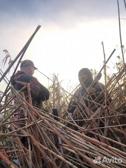 Рыбалка и охота в Астрахани. Аренда катера