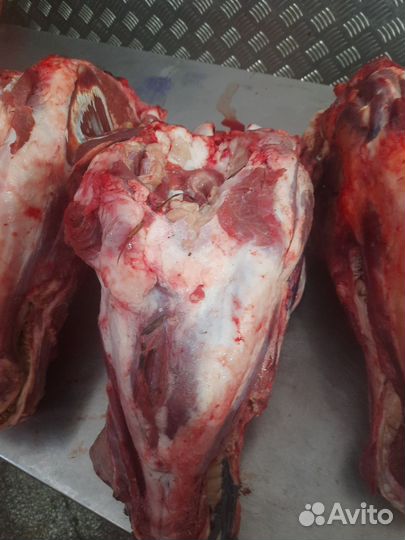 Головы говяжьи