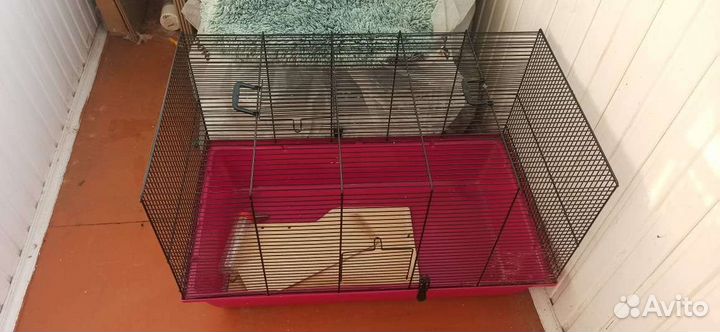 Клетка для грызунов бу
