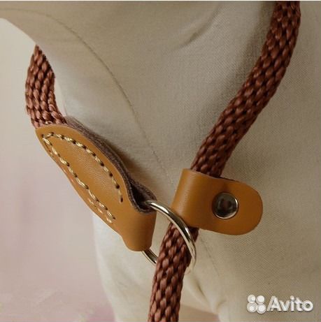 Продаю поводок (ринговку) для крупной собаки