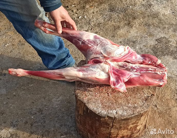 Продам мясо барана