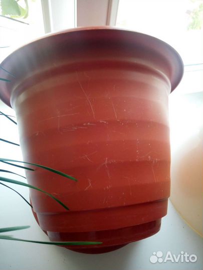 Горшки для цветов большие