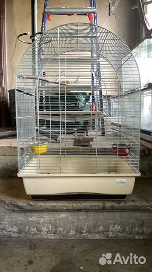 Птичья клетка