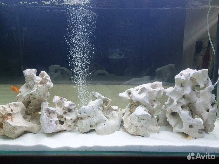 Кенийский (Занзибар ) камень