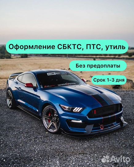 Оформление сбктс и эптс (2-3 дня) Утиль. нами, псм