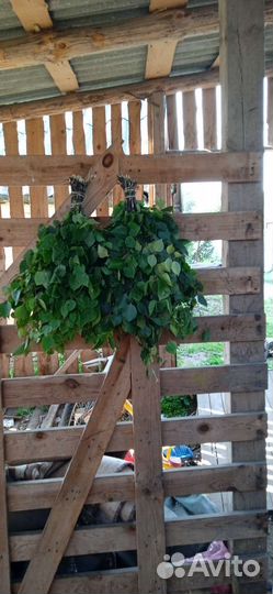 Веники для бани