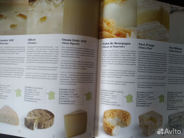 Лучшие сыры мира Джульет Харбатт