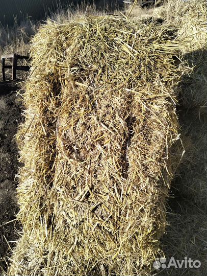 Солома для мульчирования