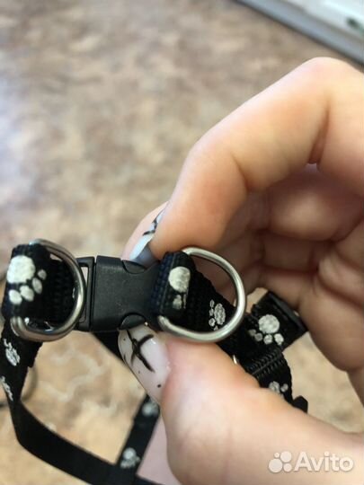 Шлейка для кошек и собак