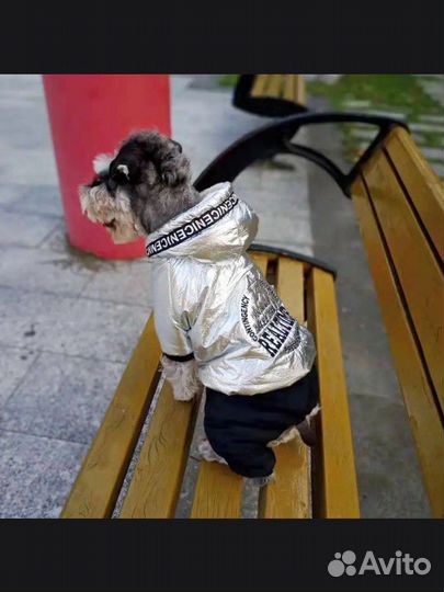 Одежда для собак