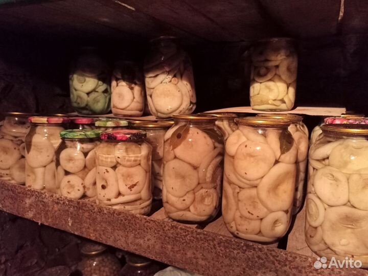 Грибы белые грузди маринованные