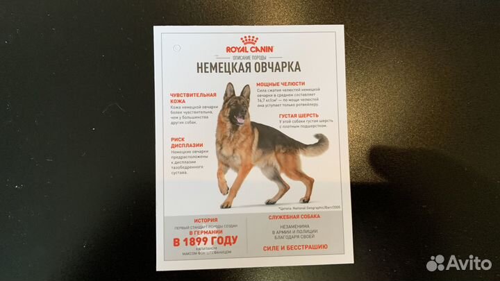 Карточки Royal Canin