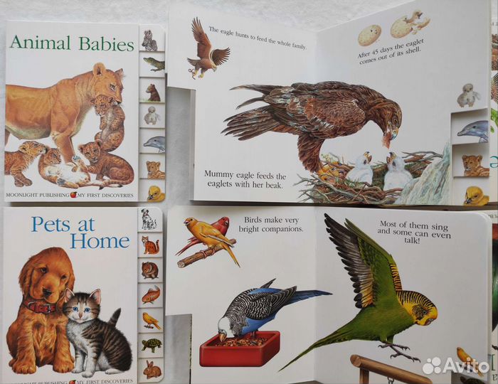 Детские английские книжки