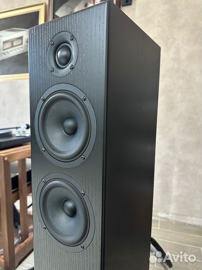 Акустика Totem Acoustic Bison Twin Tower