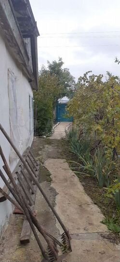 Дом 37 м² на участке 31 сот.