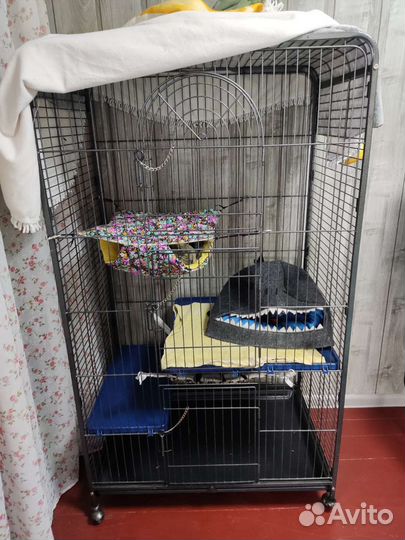 Клетка Большая для хорьков (шиншилл, крыс) кредо