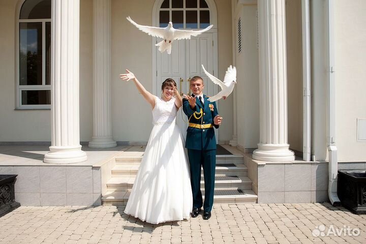 Голуби на свадьбу