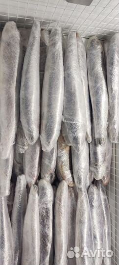 Треска, Кета свежемороженая