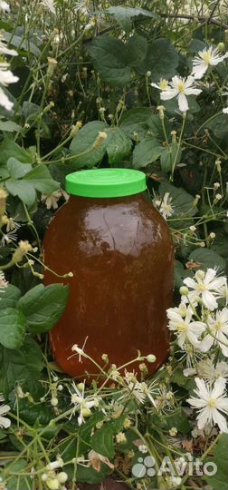 Мед цветочный Разнотравье