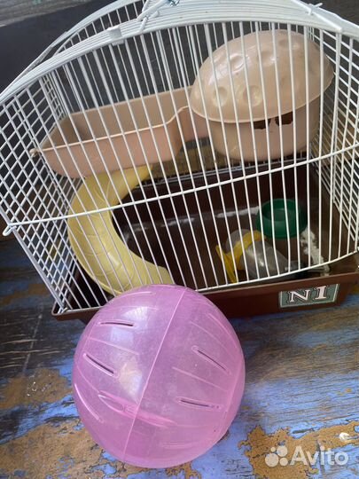 Клетка для грызунов бу