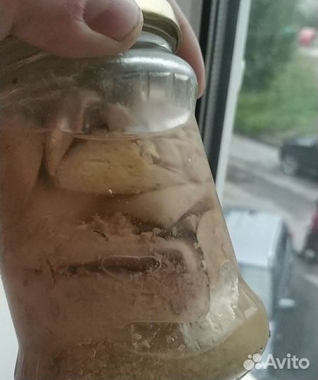 Печень трески