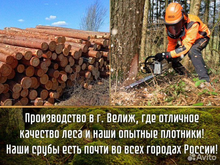 Сруб бани из бревна ручной рубки не бруса 6x4