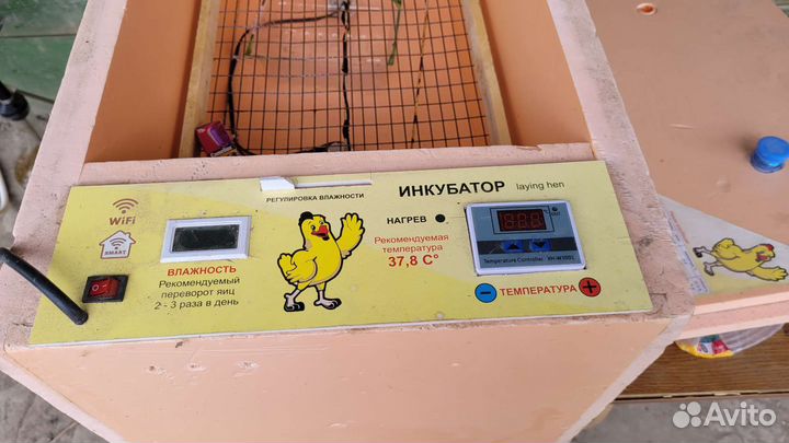 Инкубатор для яиц