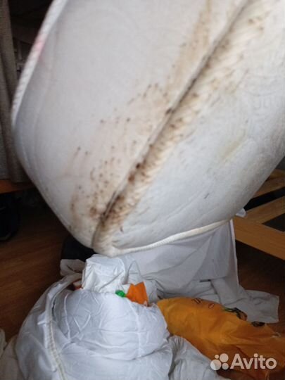 Уничтожения клопов и блох, тараканов