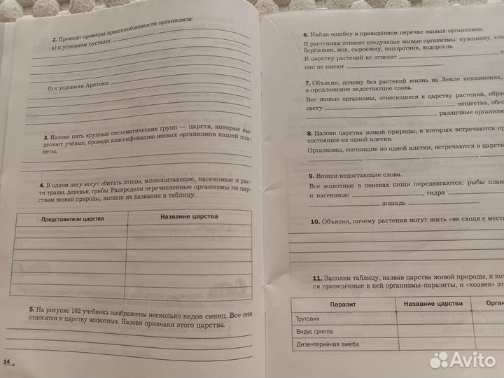 Рабочая тетрадь по биологии, 5-6 класс, 2 часть