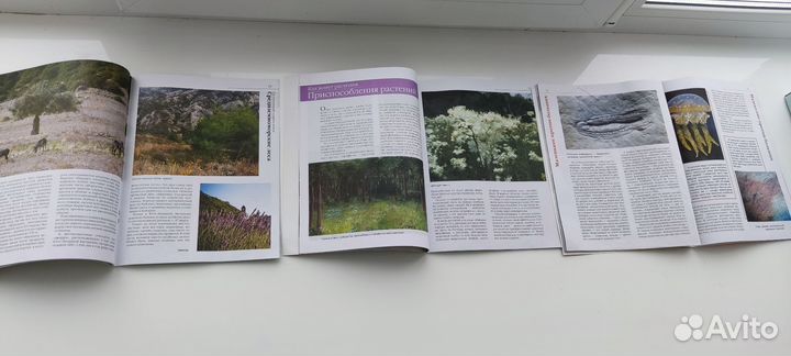 Детские книги позновательные