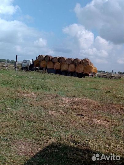 Грузоперевозки.зерновоз.Сено,солома,Длинномер,Пере