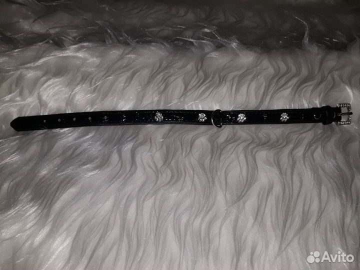 Ошейник для собак Эксклюзивный. Лаковая кожа