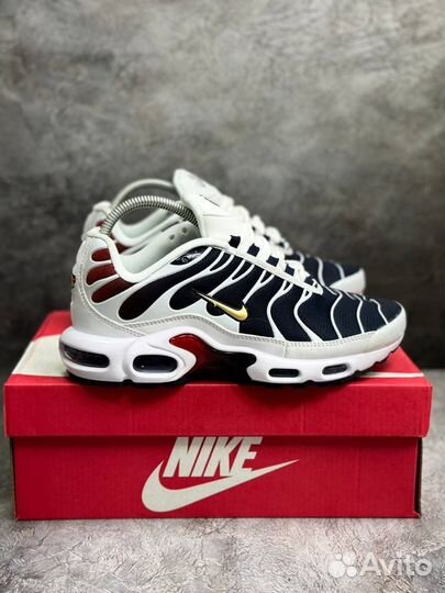 Кроссовки Nike air max tn plus