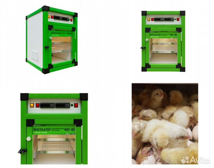 Инкубатор