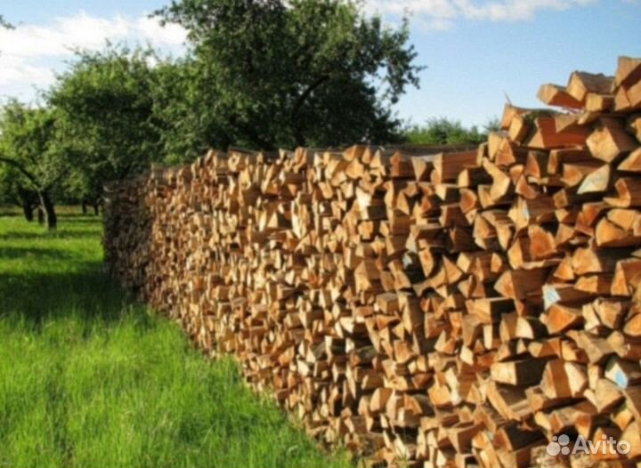 Дрова березовые