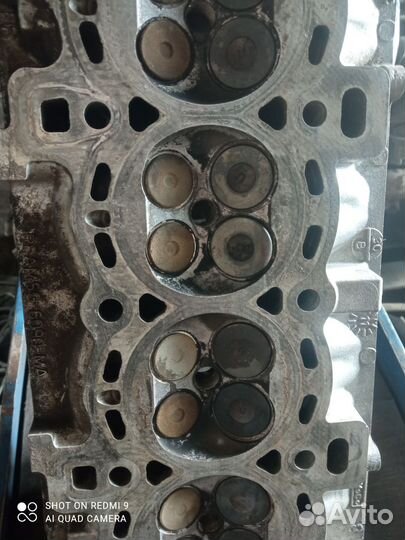 Гбц ford focus 2 1.6 100 л shda