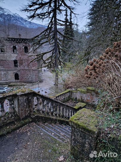 Путешествие в Абхазию