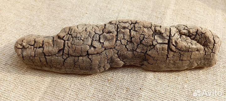 Кора дрифтвуд