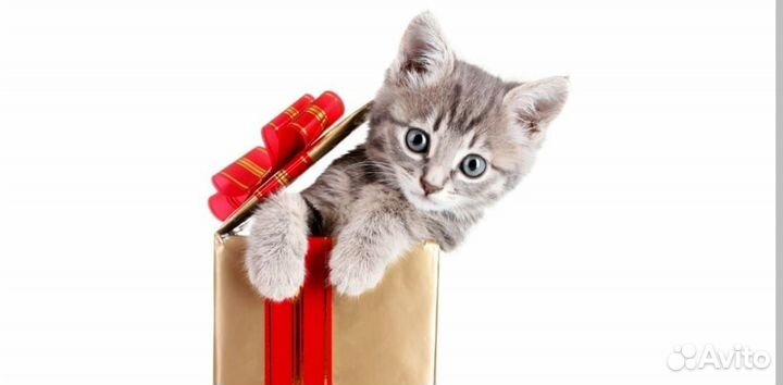 Комплектовщик вахта