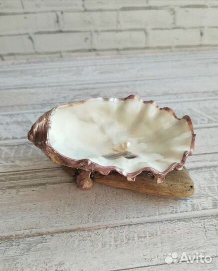Подставка для украшений из ракушки с жемчужиной