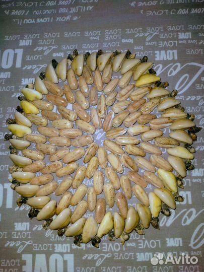 Продам подставки под горячее