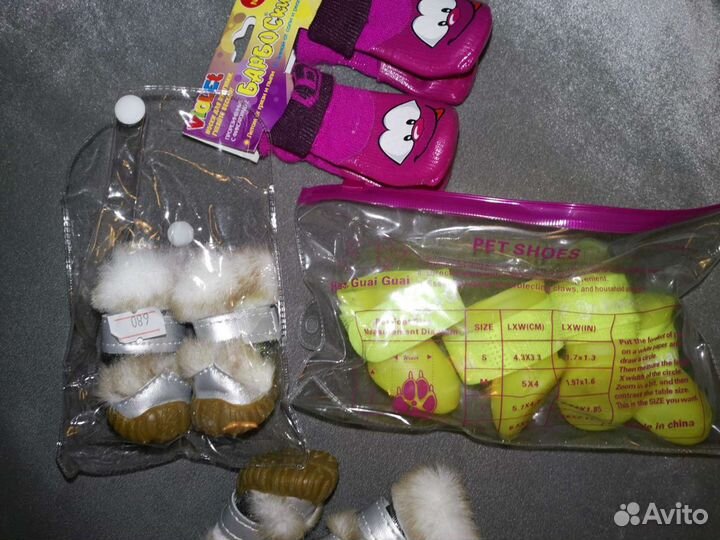 Вещи для маленькой собачки