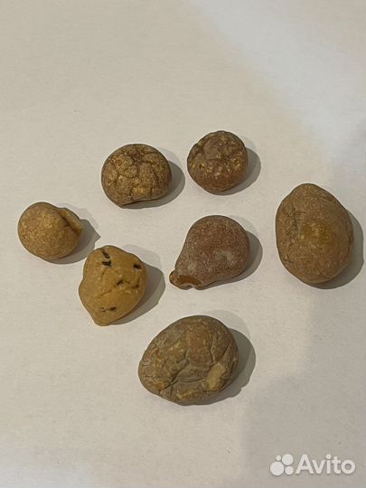 Янтарь самородок 7 штук