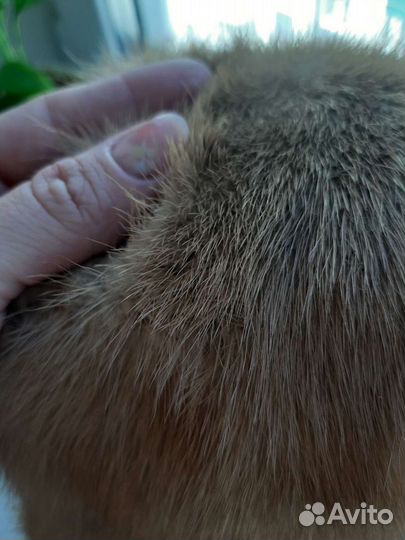 Норковый воротник