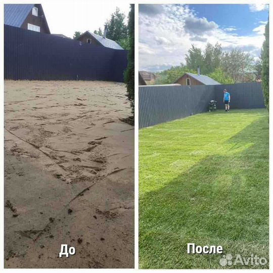 Рулонный газон /продажа/укладка