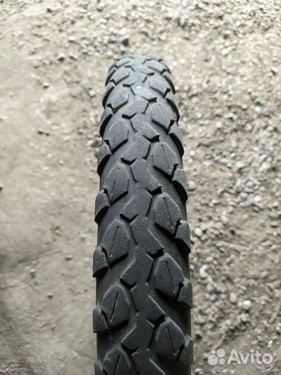 Racer Alpha Gs