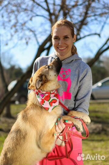 Сказочная Винки ищет дом