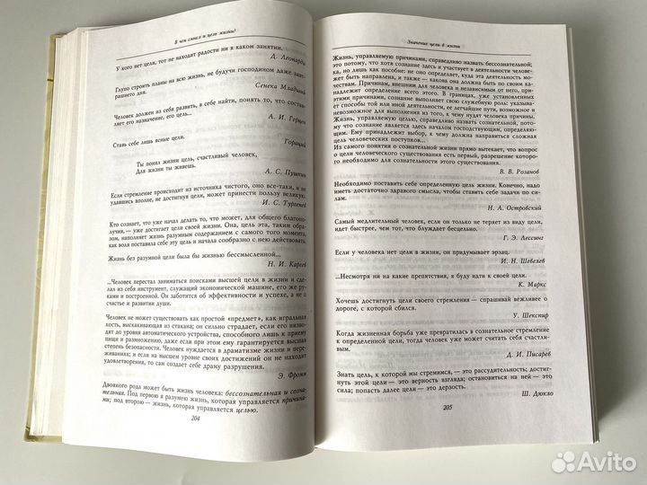В поисках смысла