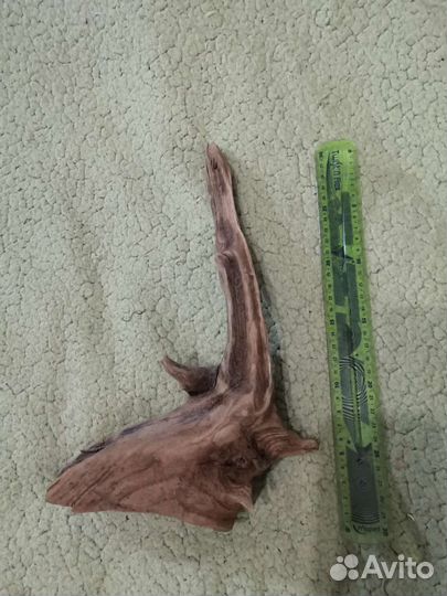 Коряга проваренная 33см