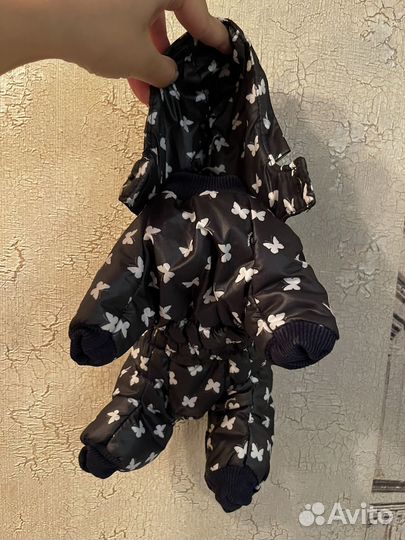 Одежда для маленьких собак